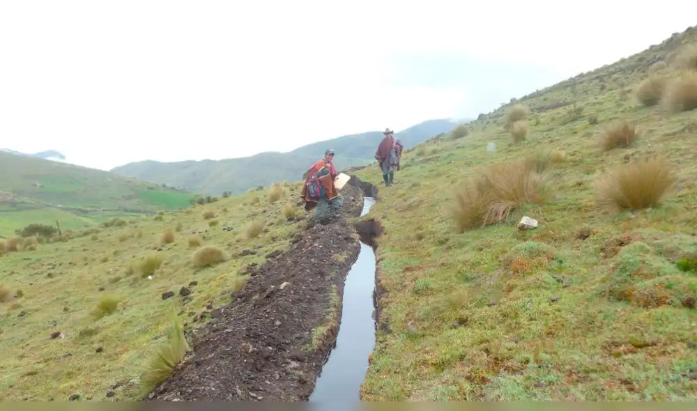 Limpieza de canales de riego en sierra de Lambayeque