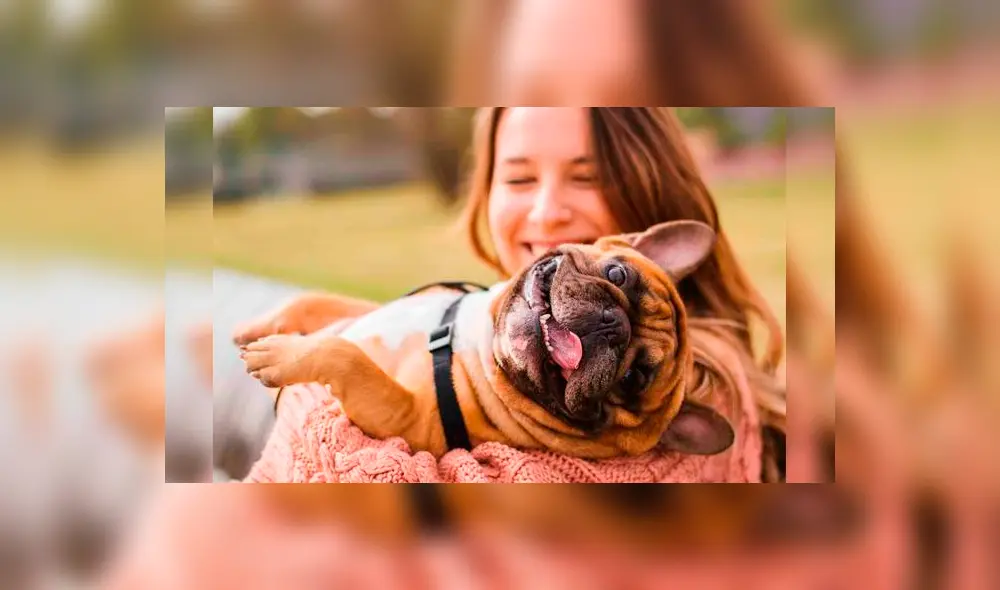 Estas son las señales con las que tu perro te demuestra que te ama Estas son las señales con las que tu perro te demuestra que te ama