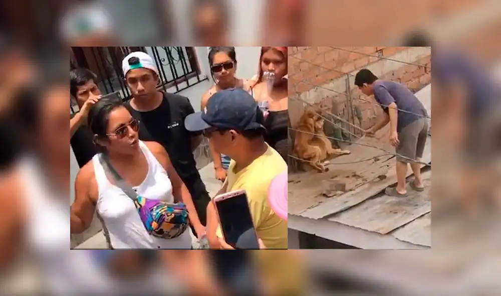 SJL: vecinos encaran a sujeto que maltrataba a sus perros con un palo [VIDEO]