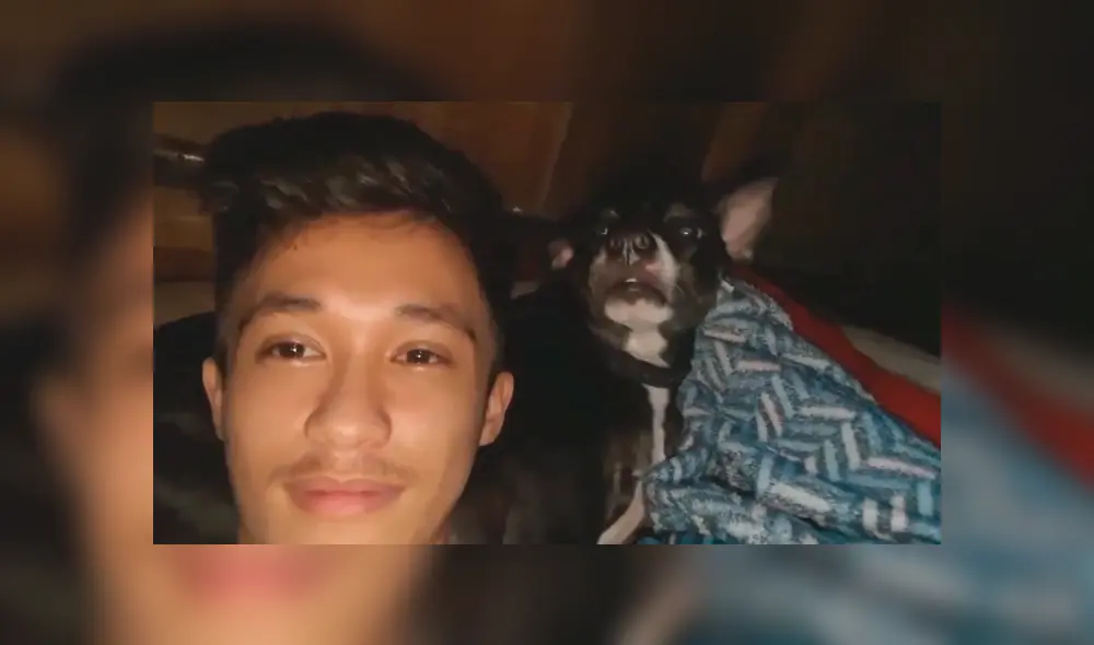 En Facebook, un perro llamó la atención de su dueño por sus singulares movimientos al ritmo de ‘Billie Jean’.