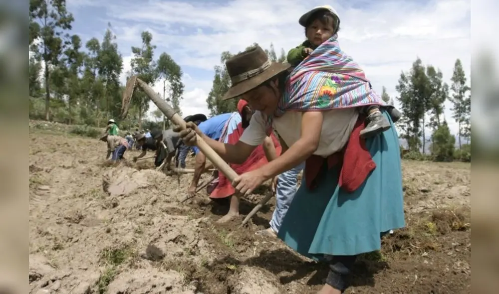 MEF prepara plan de reactivación económica para regiones y sectores afectados por protestas