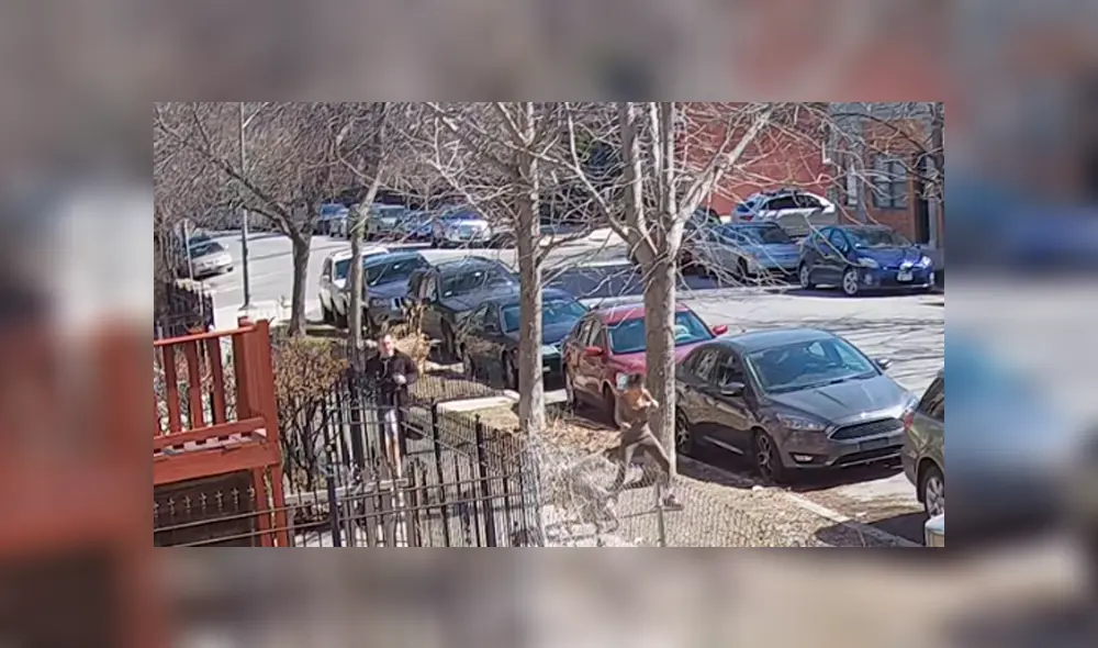 Desliza hacia la izquierda para ver imágenes de YouTube de la osada reacción del hombre que se enfrentó con un pitbull. Desliza hacia la izquierda para ver imágenes de YouTube de la osada reacción del hombre que se enfrentó con un pitbull.