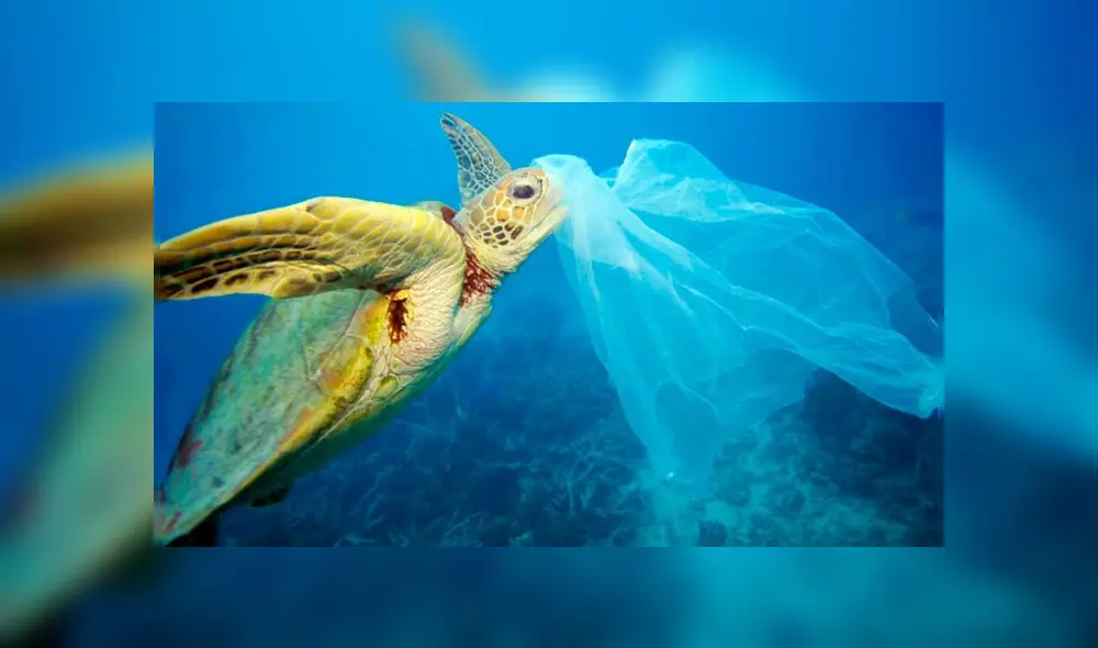 En esta fecha es indispensable reflexionar sobre las acciones tomadas respecto al mundo y decidir hacer un cambio. (Foto: GREENPEACE / TROY MAINE)