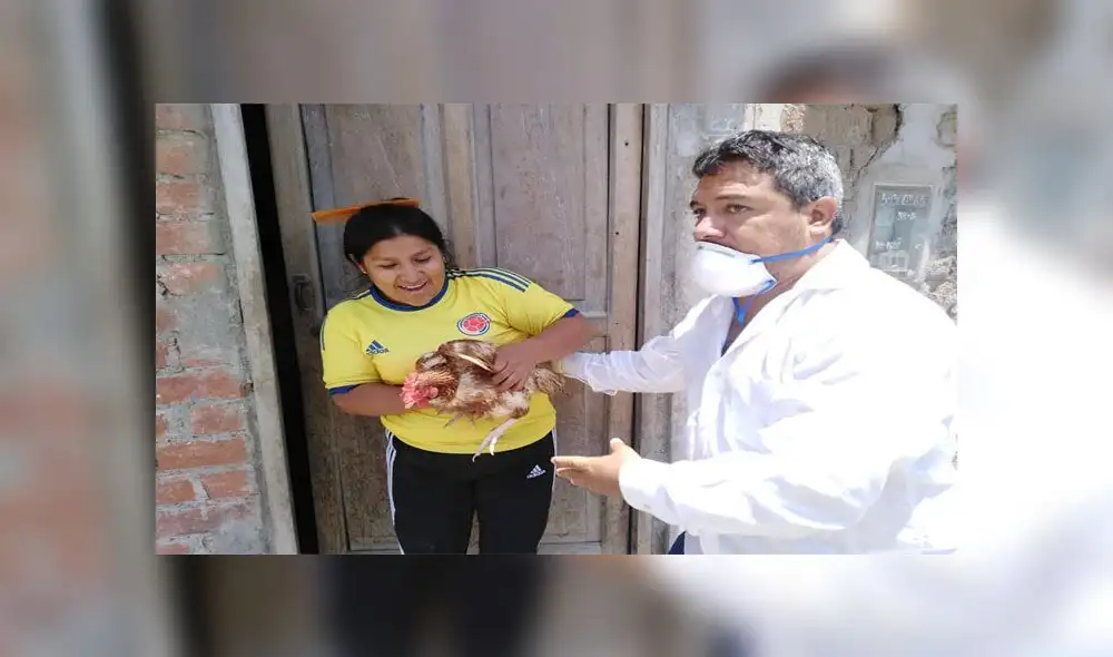 Alberto Fernández se acercó a la zona más vulnerable de la ciudad y repartió huevos y gallinas a los ciudadanos. Fotos: Municipalidad Distrital de Moche Alberto Fernández se acercó a la zona más vulnerable de la ciudad y repartió huevos y gallinas a los ciudadanos. Fotos: Municipalidad Distrital de Moche