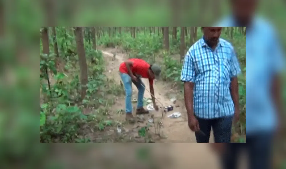 Rescató a cobra atrapada en una lata sin esperar su terrorífica reacción [VIDEO]