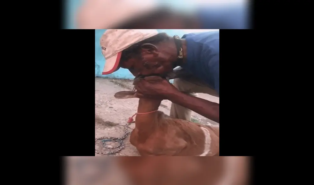 YouTube viral: furor en redes por pastor que resucita a su cabra frente a todos [VIDEO]