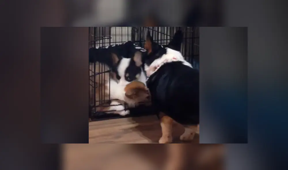 Desliza para ver las imágenes de Facebook. Foto: captura Desliza para ver las imágenes de Facebook. Foto: captura