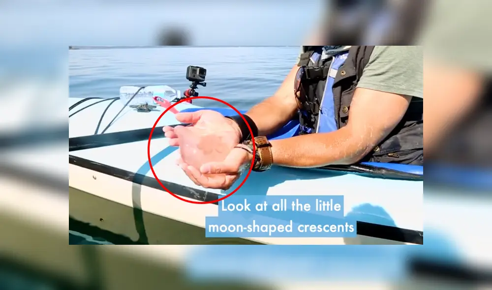 Desliza a la izquierda para conocer más sobre este nuevo viral de YouTube. Foto: Captura. Desliza a la izquierda para conocer más sobre este nuevo viral de YouTube. Foto: Captura.