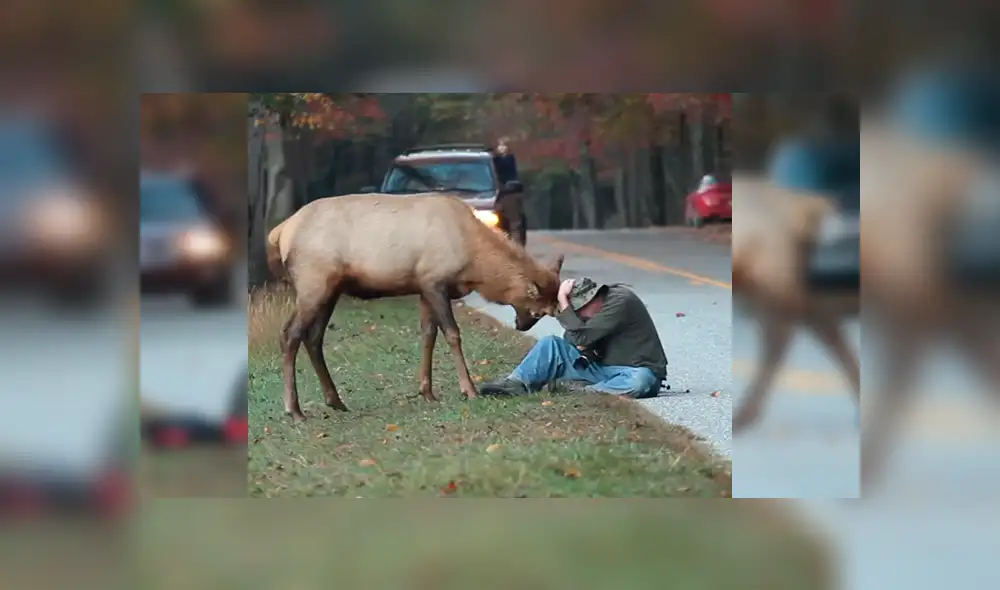 Vía Facebook. La actitud del hombre tras recibir el furioso ataque del animal dejó a más de uno con la boca abierta Vía Facebook. La actitud del hombre tras recibir el furioso ataque del animal dejó a más de uno con la boca abierta