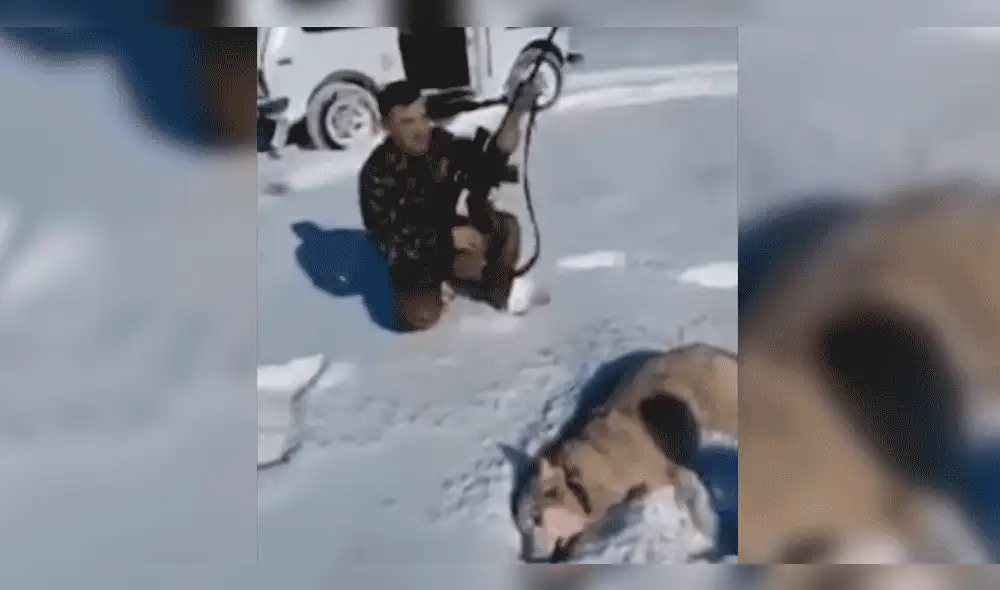 YouTube: Posaba junto a lobo que cazó, este “volvió a la vida” y lo atacó [VIDEO]