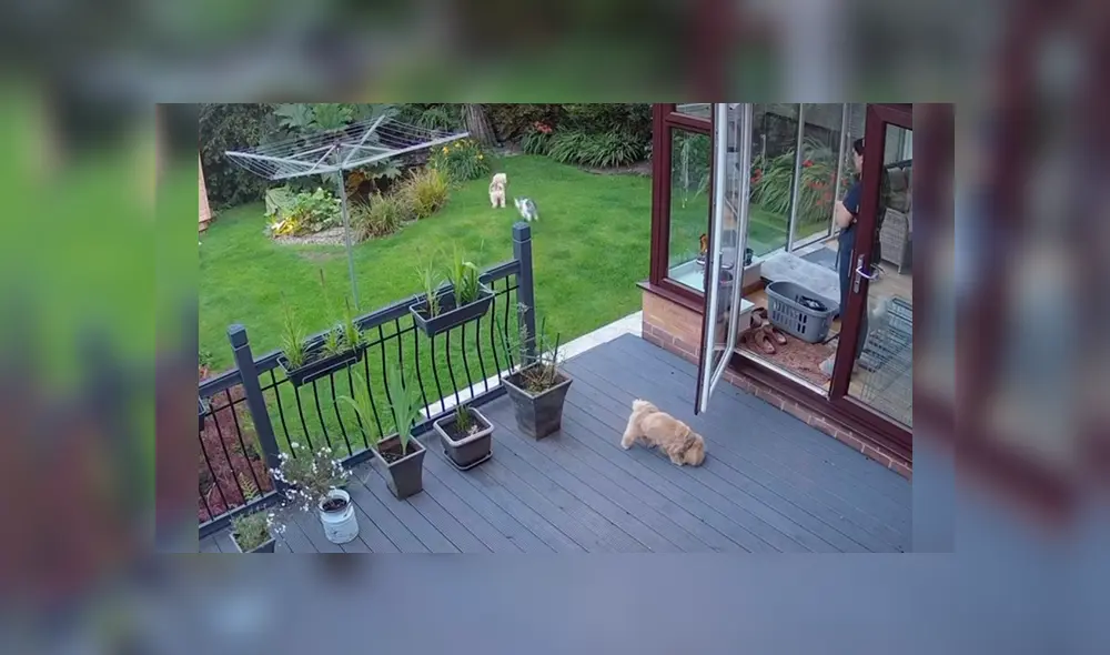 Desliza hacia la izquierda para ver más del video viral. Fotocaptura: TikTok Desliza hacia la izquierda para ver más del video viral. Fotocaptura: TikTok