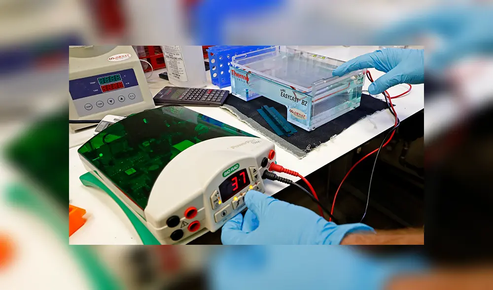 Un colaborador de Iftach Yacoby trabaja en el proyecto de investigación. 11 de junio de 2020. | Foto: Jack Guez / AFP