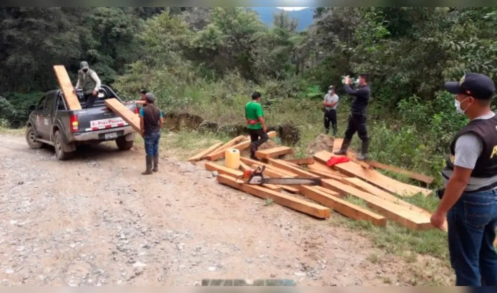Decomisan madera ilegal en el Santuario de Tabaconas