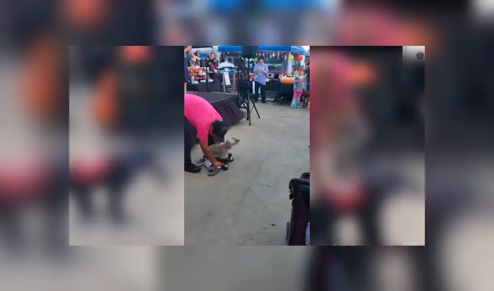 Desliza para ver el desenlace de este video viral de YouTube. Foto: Captura.