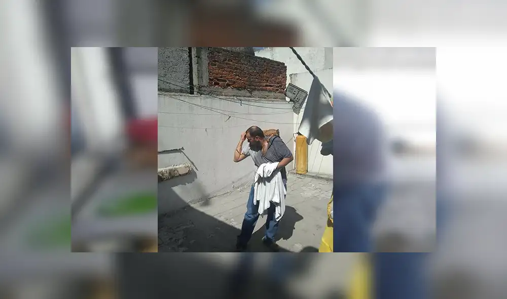 Facebook viral: señor encuentra a gato abandonado, lo lleva a su casa y sucede lo peor [VIDEO]