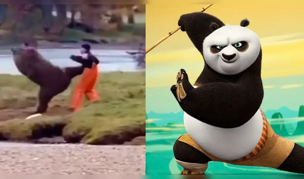 Facebook: se enfrentó a oso y este lo sorprendió con técnicas de Kung-fu [VIDEO]