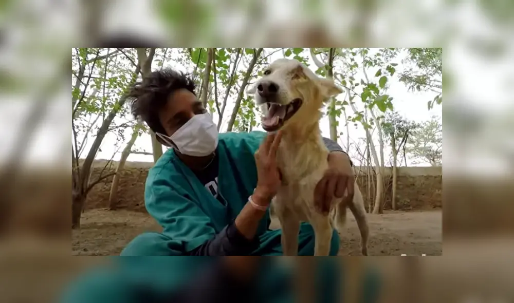 Desliza hacia la izquierda para ver las imágenes del viral de YouTube. Desliza hacia la izquierda para ver las imágenes del viral de YouTube.