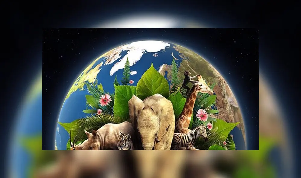 Hermosos carteles de feliz día tierra para compartir. Hermosos carteles de feliz día tierra para compartir.