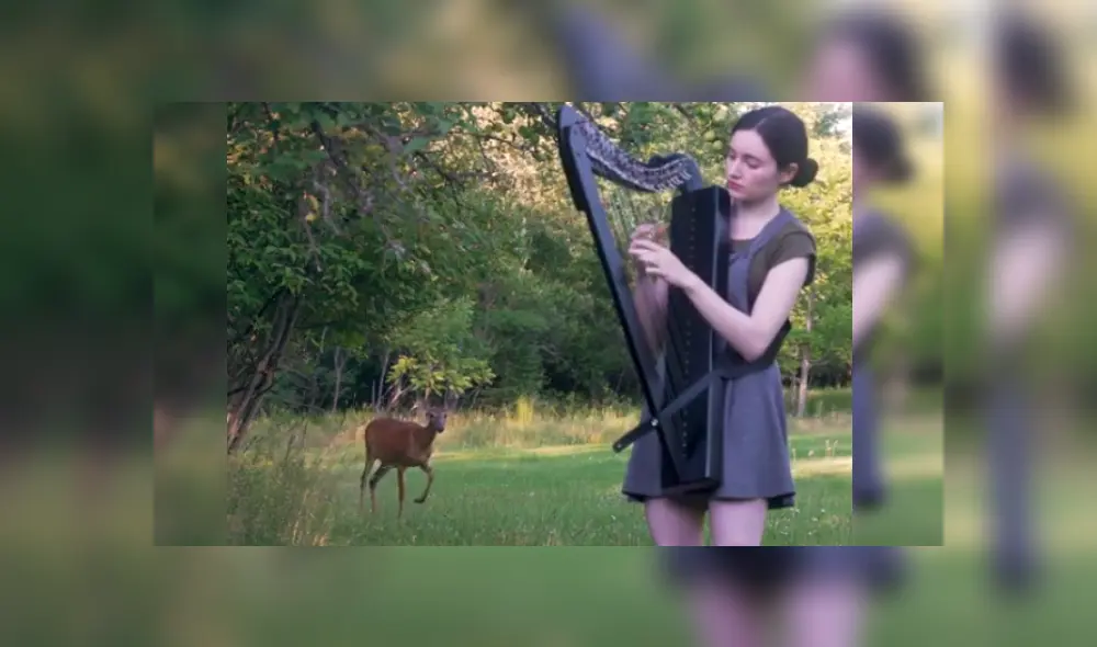 Desliza las imágenes para ver más sobre esta joven que fue sorprendida por un ciervo en pleno 'concierto'. (Foto: captura)
