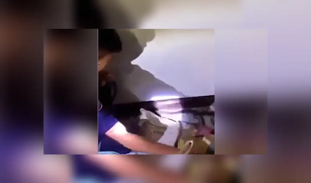 El rescatista halló la verdadera identidad de la criatura venenosa.