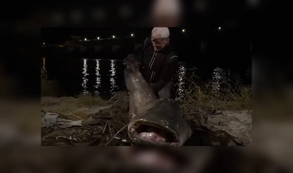 Desliza hacia la izquierda para ver al gigantesco pez que se volvió viral en YouTube. Desliza hacia la izquierda para ver al gigantesco pez que se volvió viral en YouTube.