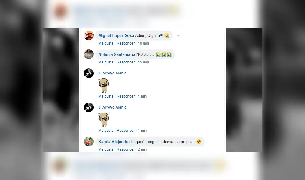 Facebook viral: sanmarquinos lloran muerte de ‘Perrovaca’ y le dedican emotivas palabras [FOTOS]