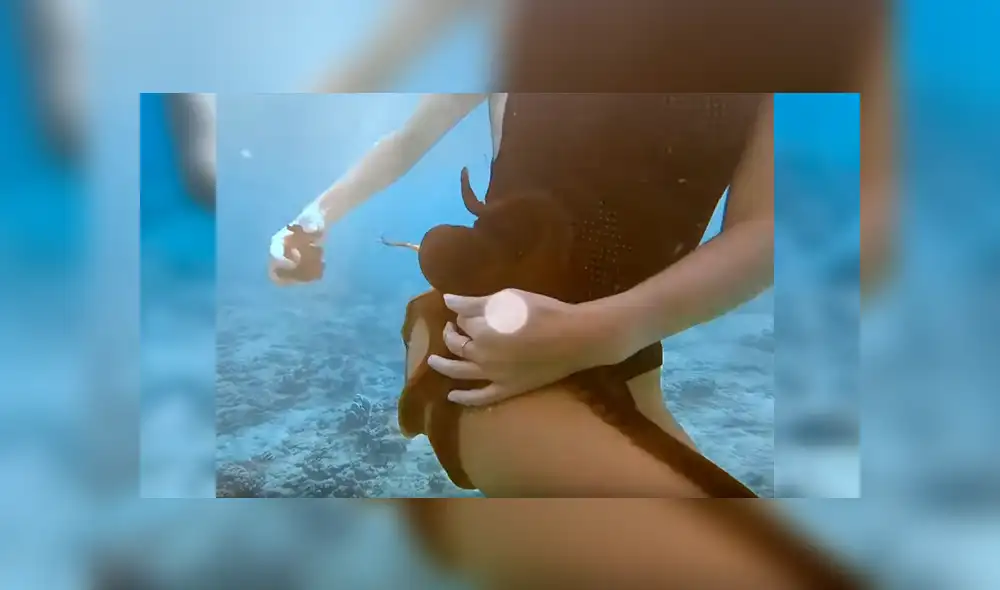 Video viral de YouTube muestra el preciso momento en que un pulpo se topa con una joven y se adhiere a su muslo derecho