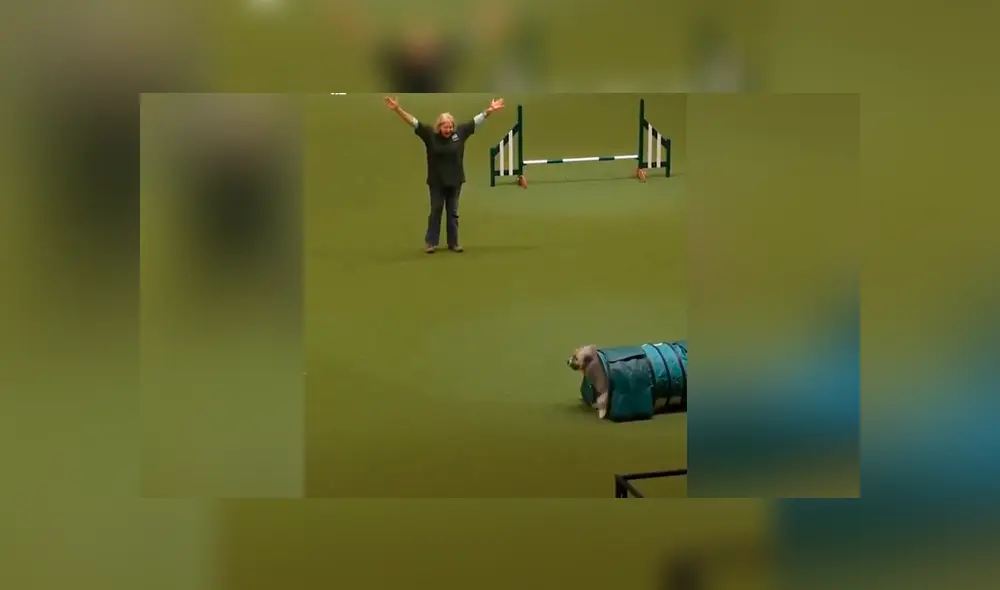 Vía Facebook. El desobediente can decidió jugar en la pista en vez de hacerle caso a su entrenadora. Vía Facebook. El desobediente can decidió jugar en la pista en vez de hacerle caso a su entrenadora.