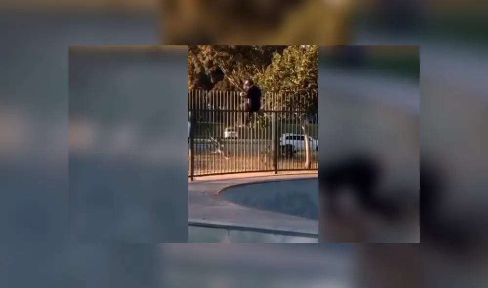 Facebook viral: joven intenta realizar complicada maniobra en bicicleta y sufre terrible accidente con final inesperado