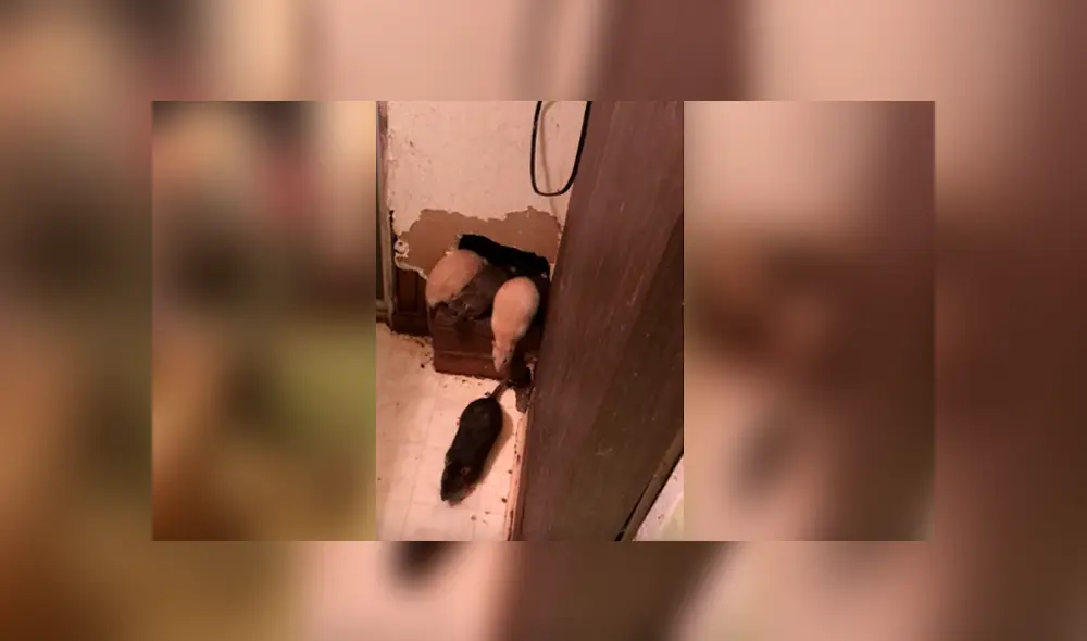 Desliza para ver los detalles del video viral de YouTube. Foto: Captura.
