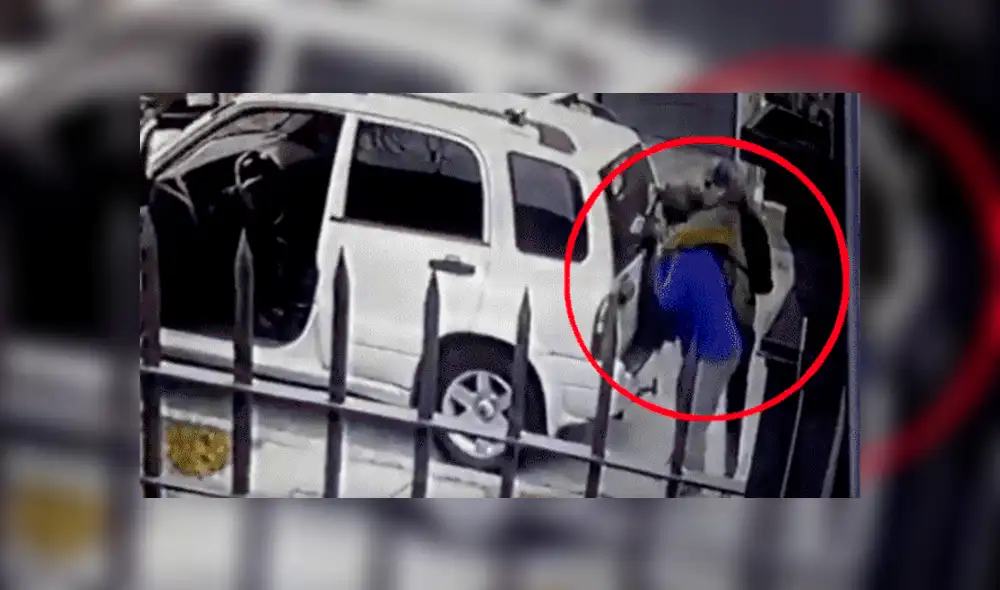 YouTube viral: Perros ven que su dueño es asaltado con pistola y lo rescatan valerosamente [VIDEO] 