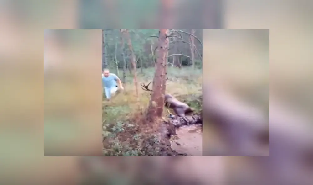 En YouTube, unos jóvenes rescataron a un enorme ciervo que quedó atrapado en un charco de lodo. En YouTube, unos jóvenes rescataron a un enorme ciervo que quedó atrapado en un charco de lodo.