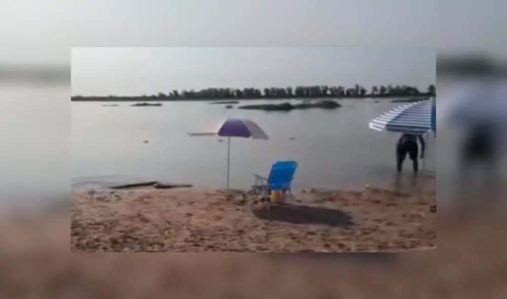 Desliza hacia la izquierda para ver el momento en que una anaconda emerge del mar. Video es viral en YouTube. Desliza hacia la izquierda para ver el momento en que una anaconda emerge del mar. Video es viral en YouTube.