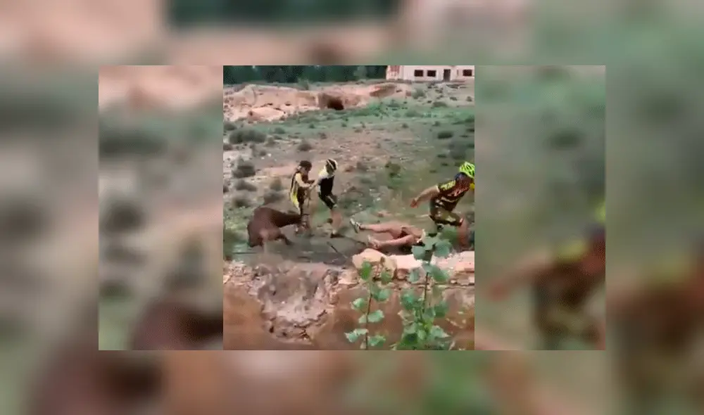 Los deportistas andaban por el lugar y no dudaron parar para rescatar al ciervo. Foto: Captura/Youtube