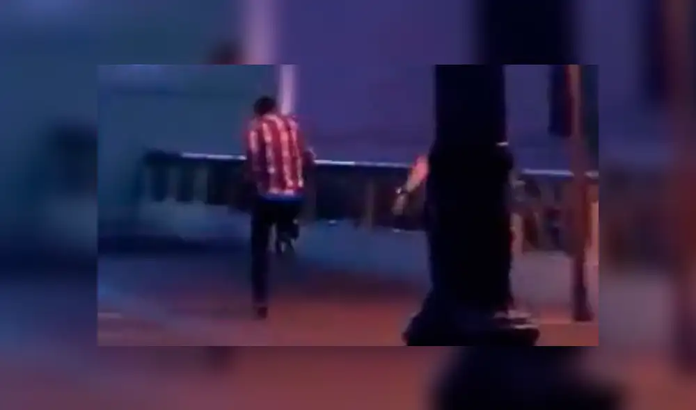 YouTube viral: perro disfrazado de cocodrilo aterra a transeúntes en un pasaje oscuro YouTube viral: perro disfrazado de cocodrilo aterra a transeúntes en un pasaje oscuro