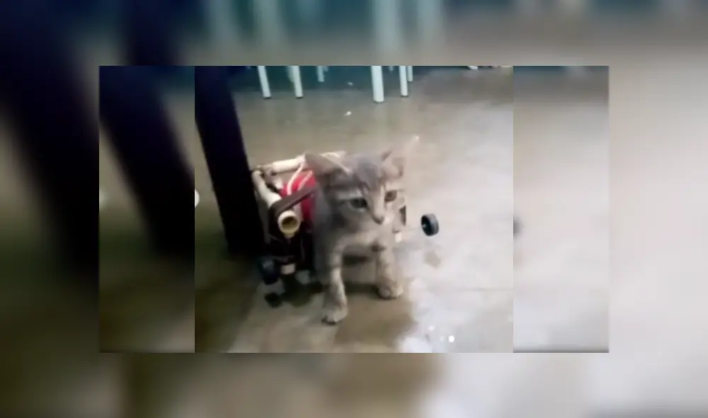 Desliza las imágenes para ver más detalles sobre esta escena que es viral en YouTube.