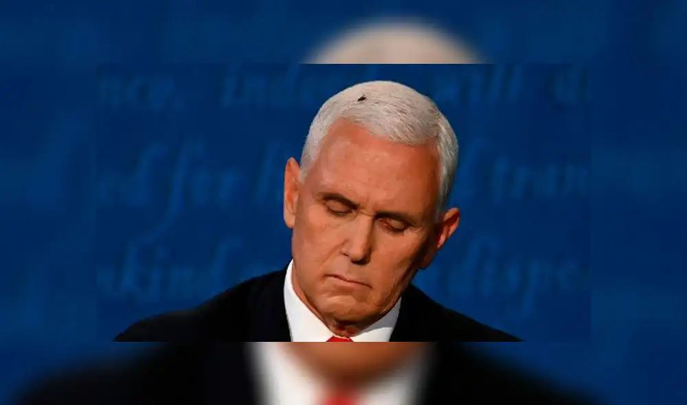 Una mosca se posa sobre la cabeza del vicepresidente de los Estados Unidos, Mike Pence, mientras toma notas durante el debate vicepresidencial. Foto: AFP