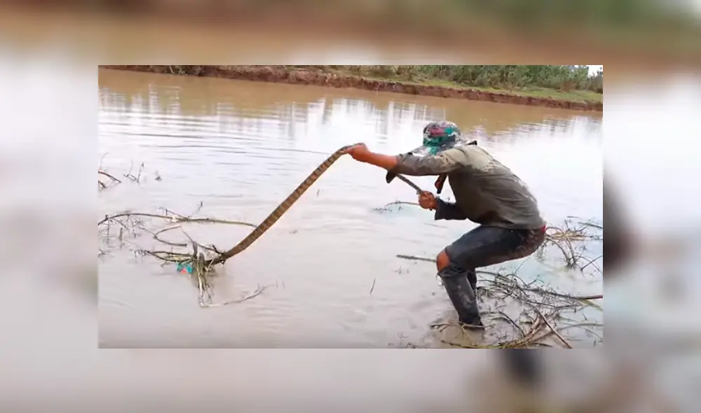 Desliza hacia la izquierda para ver el experimento que se volvió viral en Facebook.
