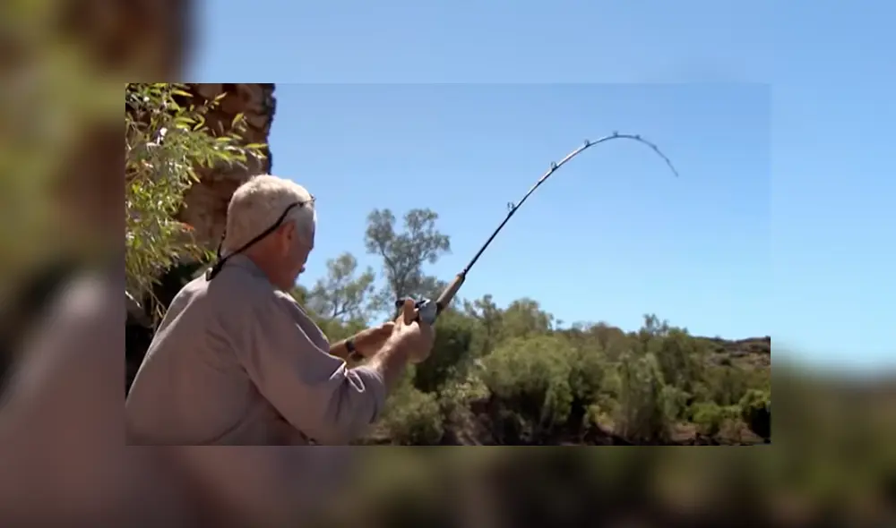 Desliza hacia la izquierda para ver el aspecto de la criatura que atrapó un pescado y se volvió viral en Facebook.