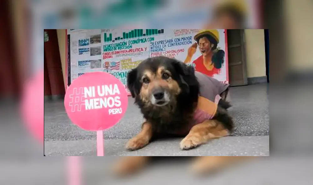 Facebook: alumnos de la UNMSM comparten fotografías inéditas de 'Perrovaca' [FOTOS]