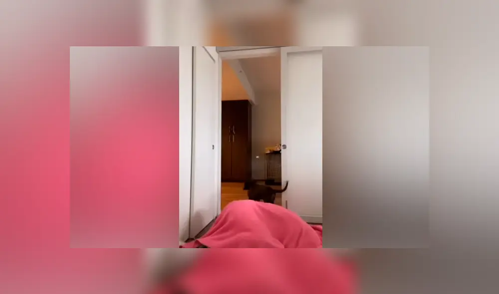 Desliza las imágenes para ver la peculiar escena que protagonizó un perro al no poder encontrar a su dueña. Foto: RM videos Desliza las imágenes para ver la peculiar escena que protagonizó un perro al no poder encontrar a su dueña. Foto: RM videos