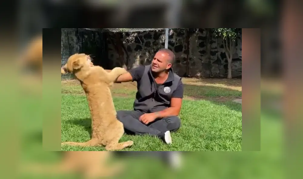 Desliza hacia la izquierda para ver las imágenes del viral de Youtube. Foto: Captura. Desliza hacia la izquierda para ver las imágenes del viral de Youtube. Foto: Captura.