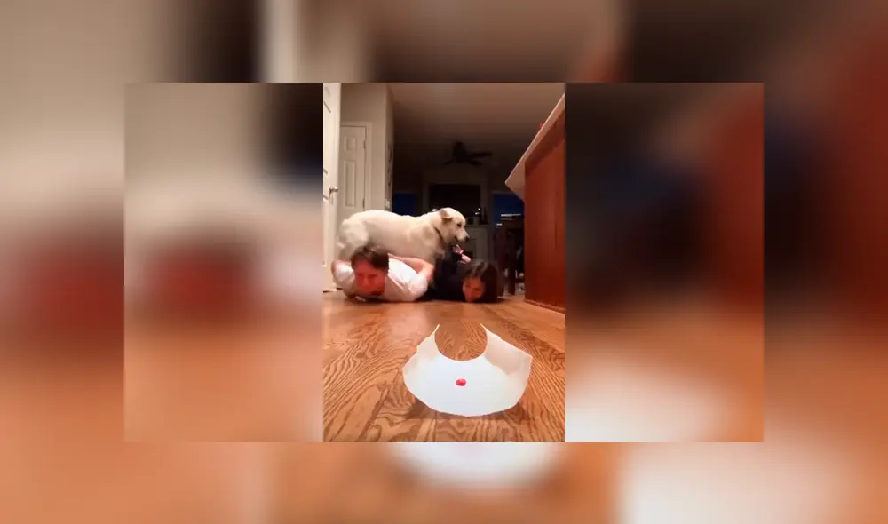 Desliza las imágenes para apreciar la travesura que cometió un perro al interrumpir la competencia de sus dueños. Foto: Captura.