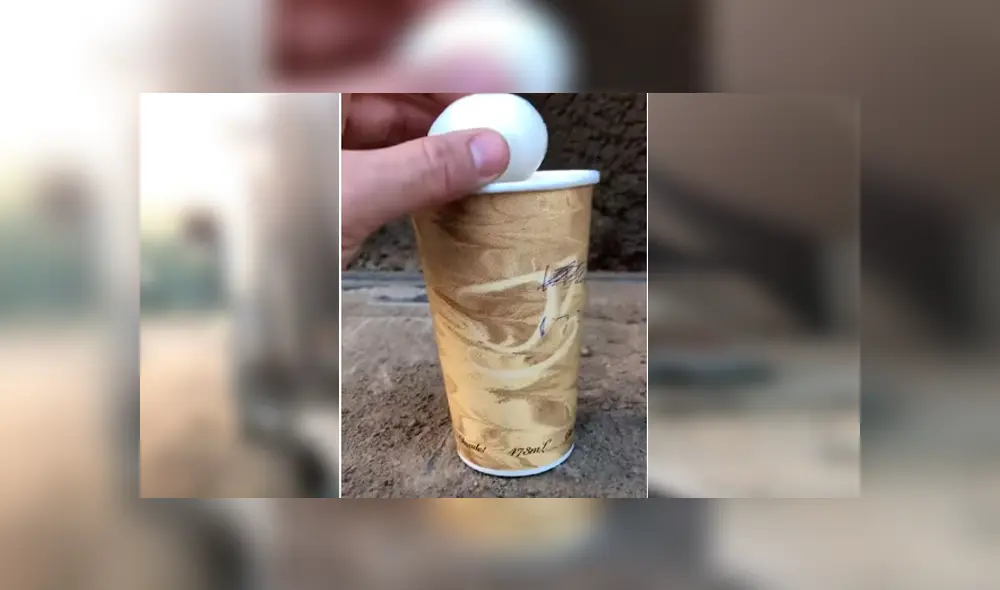 Video es viral en YouTube. El ave ha dejado a más de uno con la boca abierta, al resolver de forma rápida el popular truco que hizo un joven