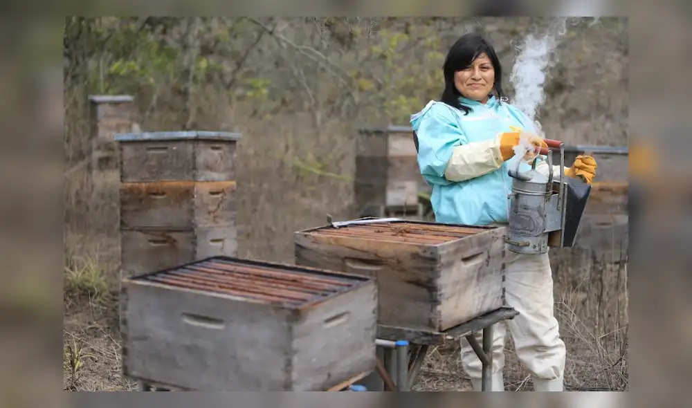 Ysabel Calderón trabaja por la conservación de cuatro especies de abejas. Foto: Clinton Medina Ysabel Calderón trabaja por la conservación de cuatro especies de abejas. Foto: Clinton Medina