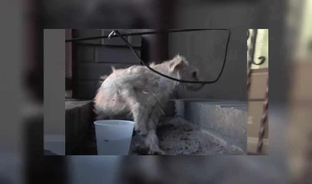 Desliza las imágenes para ver más detalles de esta escena que es viral en YouTube.