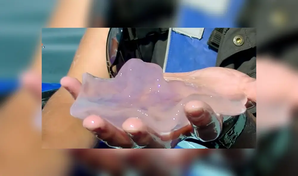 Desliza a la izquierda para conocer más sobre este nuevo viral de YouTube. Foto: Captura. Desliza a la izquierda para conocer más sobre este nuevo viral de YouTube. Foto: Captura.