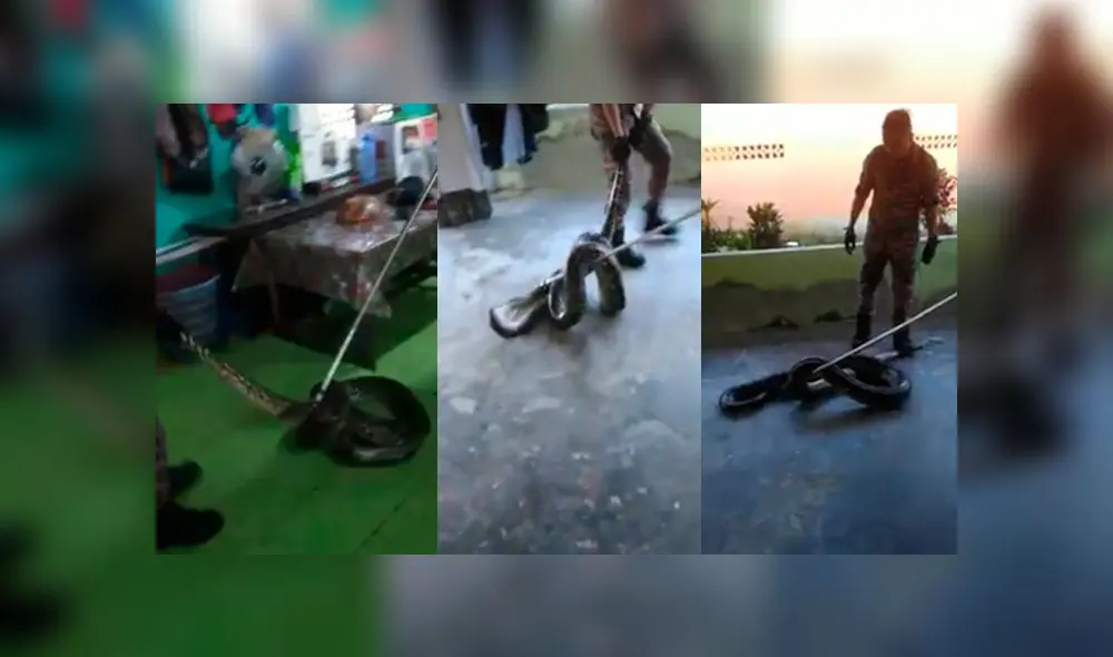 Desliza a la izquierda para ver este terrorífico descubrimiento. Fuente: Captura.