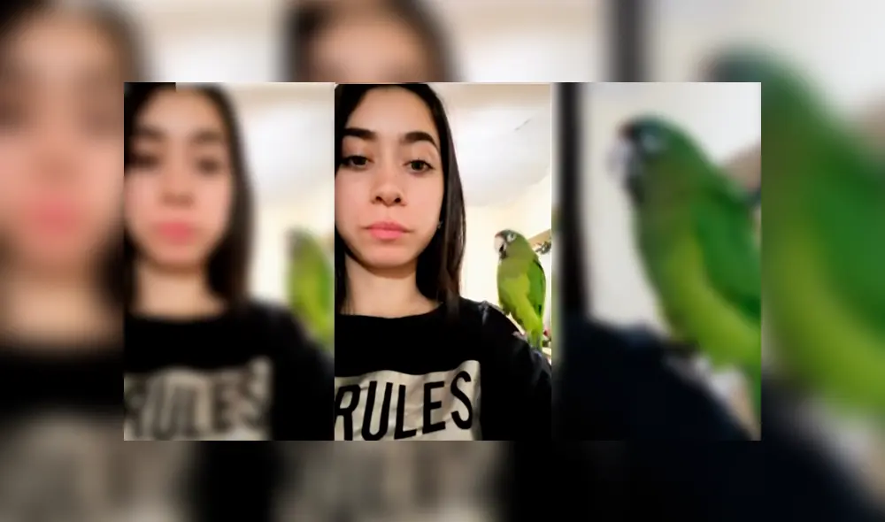 Desliza para ver los detalles del video viral publicado en YouTube. Foto: Captura.