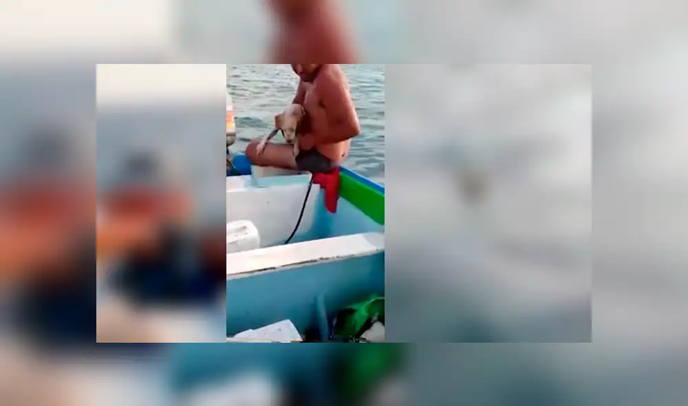 Video es viral en YouTube. El perro había ingerido mucha agua salda y estaba muy agotado, pero afortunadamente fue encontrado por estos pescadores que rápidamente lo rescataron. Foto: Captura. Video es viral en YouTube. El perro había ingerido mucha agua salda y estaba muy agotado, pero afortunadamente fue encontrado por estos pescadores que rápidamente lo rescataron. Foto: Captura.